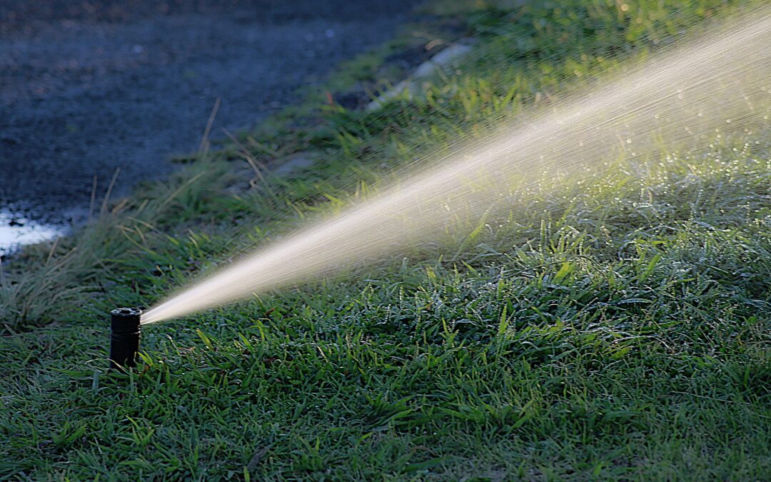 How Smart Irrigation Leads to Saving Money and Helping the Environment