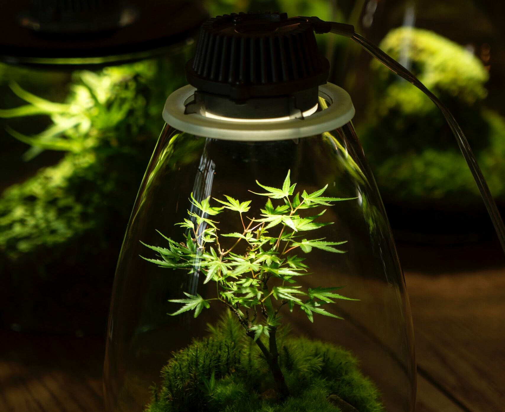 everything-you-need-to-know-about-grow-lights-elite-grounds